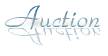 EFX Studio Auction
